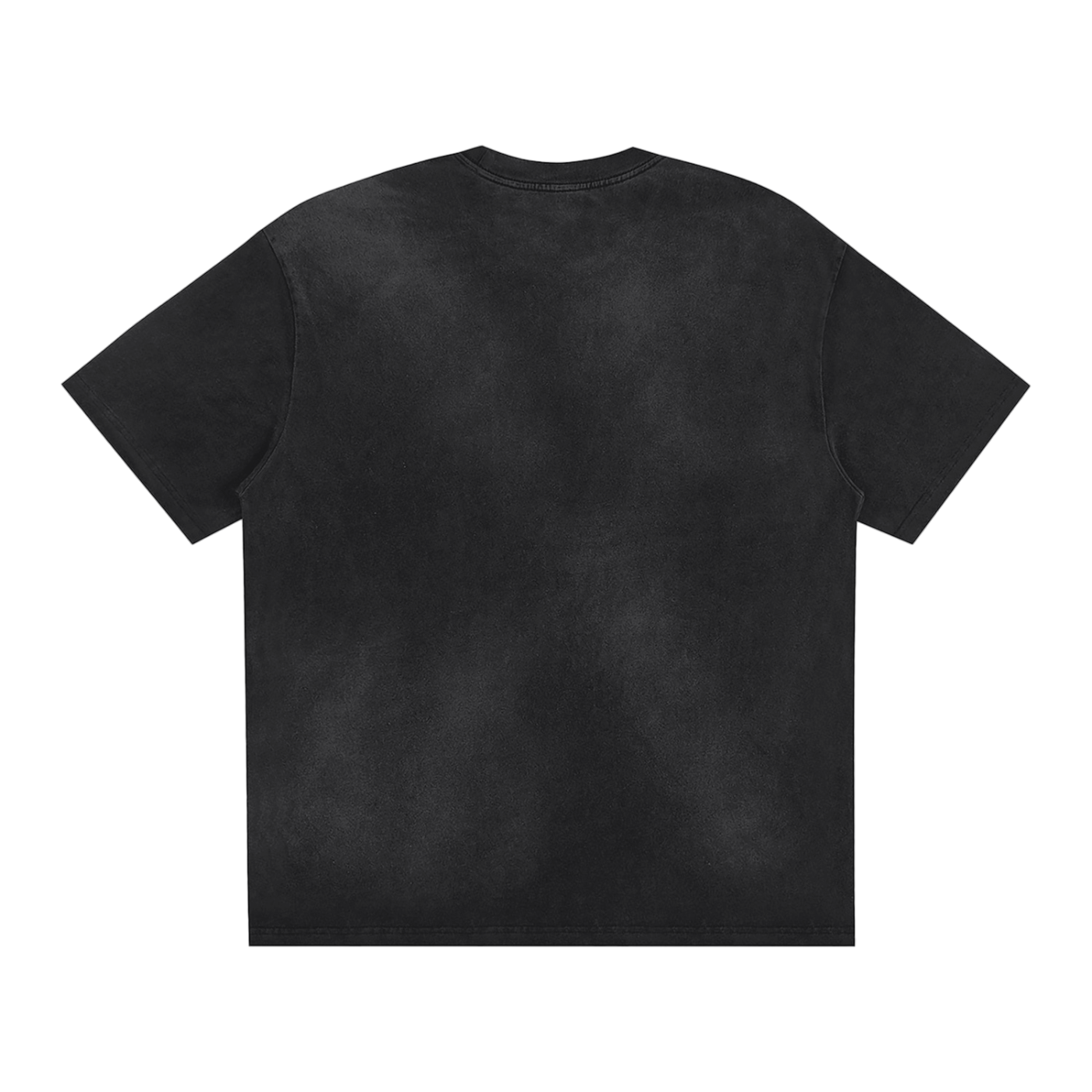 Signature Sunfaded Loose Fit Tee