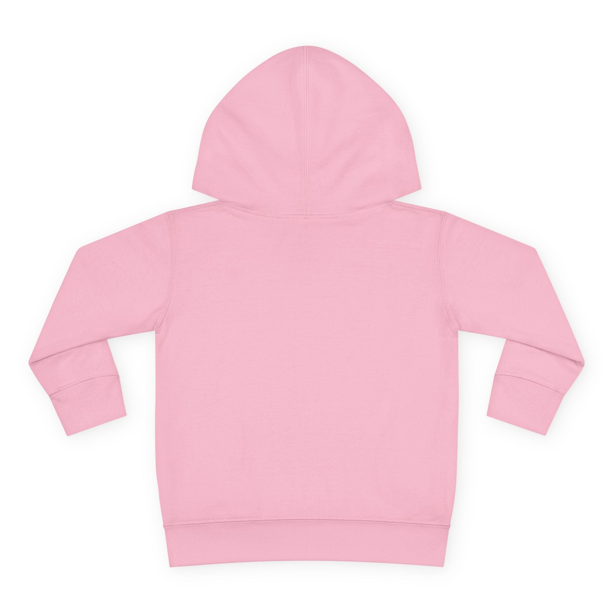 Papa & Me Toddler Hoodie — Teddy Bear Hoodie