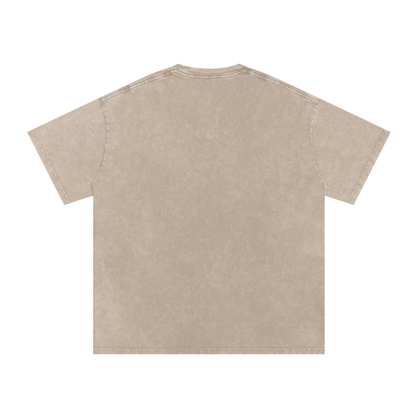 Snow Washed Oversized Tee